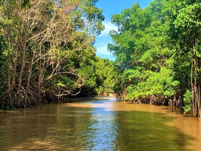 Delta do Rio Parnaíba